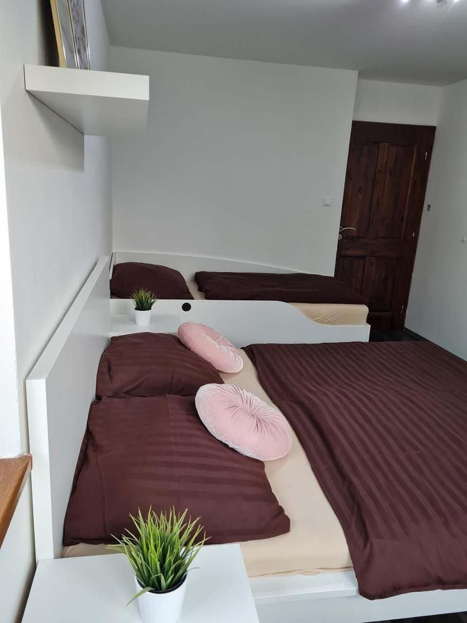 Vila Max - Whirlpool & Bazen & Sauna Velke Losiny Luaran gambar
